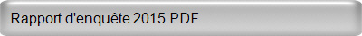 Rapport d'enqute 2015 PDF  